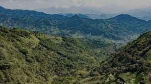 Tiger Gold is shining bright in Colombia with a focus on definition and scale teaser image