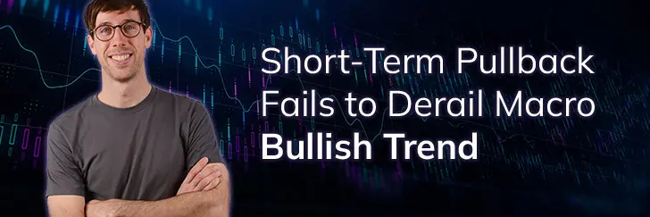 Short-term pull back fails to derail macro bullish trend teaser image