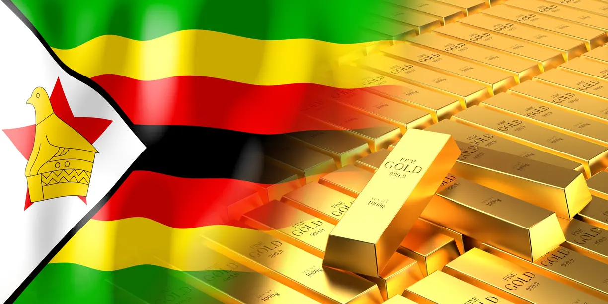 Zimbabwe introduces a new gold-backed currency teaser image