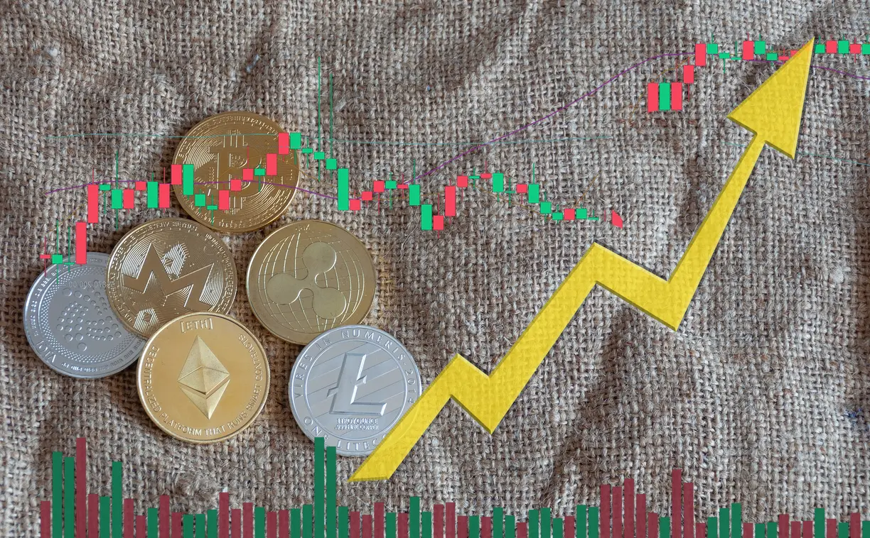 Crypto FOMO fest rotates to altcoins as Bitcoin consolidates above $51k teaser image