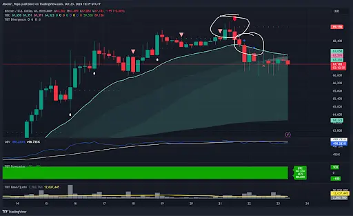 Bitcoin slowly corrects: what’s next for dominance and market trends? teaser image