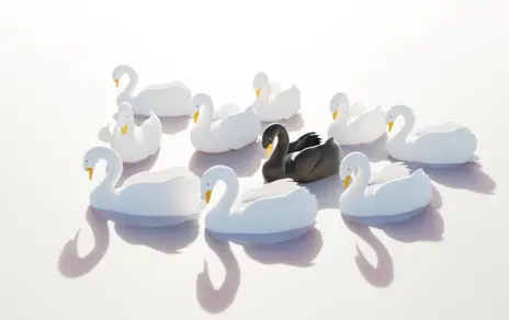 The black swan flapped its wings, and the markets took note teaser image