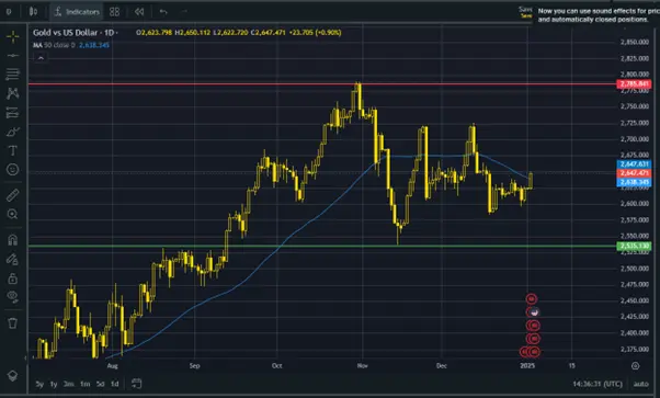 Gold prices begin 2025 with positive momentum, what is next? teaser image