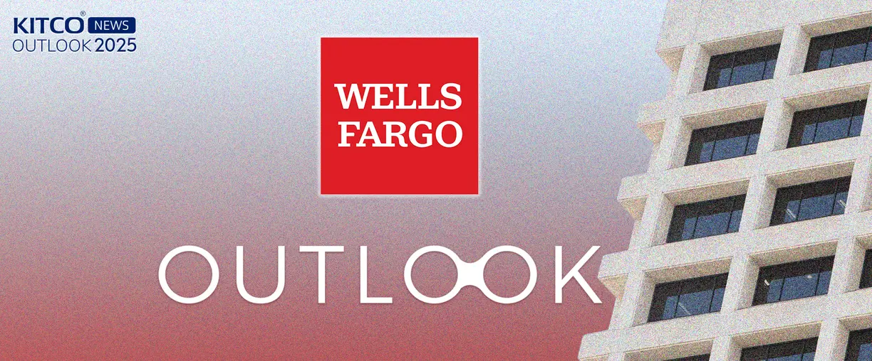 Emerging market central bank demand will drive gold in 2025 - Wells Fargo’s John LaForge teaser image