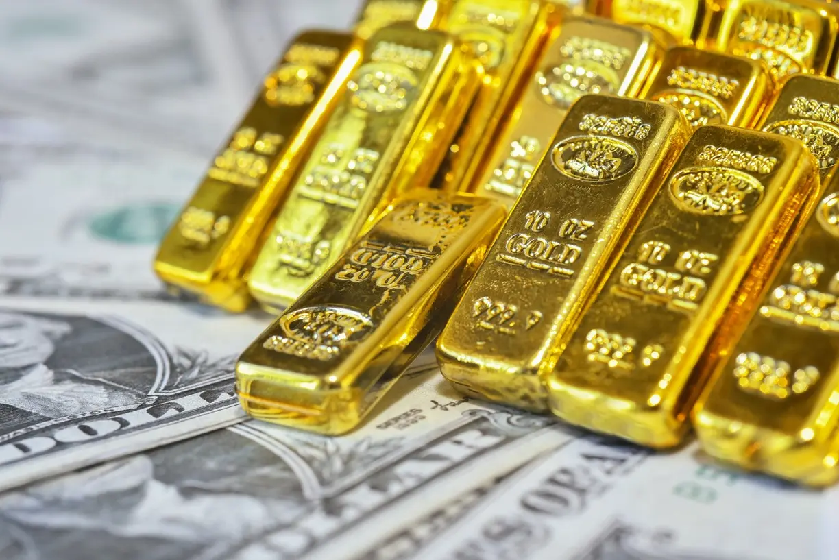 BlackRock CEO Larry Fink says gold investors hurt capital market development teaser image