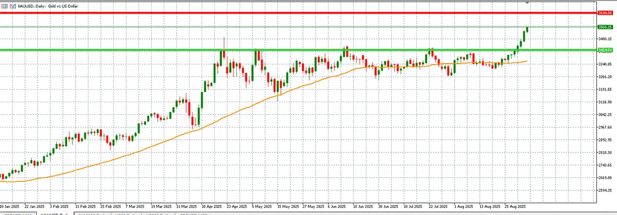 Gold price rises to another record high, what is behind the move? teaser image