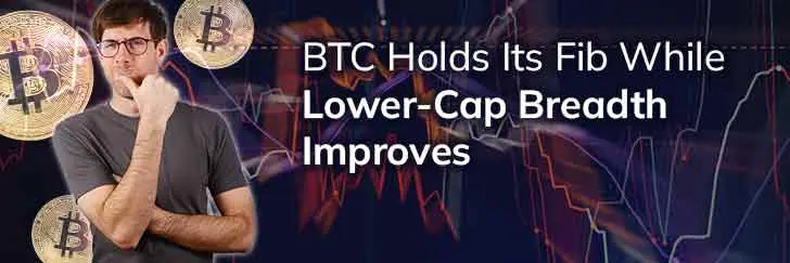 BTC holds its Fib While Lower-Cap Breadth Improves teaser image