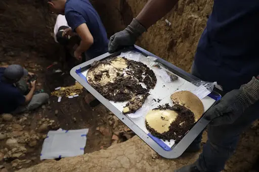 Panama’s treasures reveal gold’s history as an icon of wealth and power teaser image