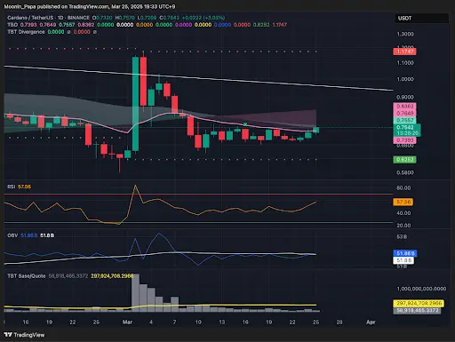 Bitcoin holds inside TBO cloud as market momentum builds teaser image