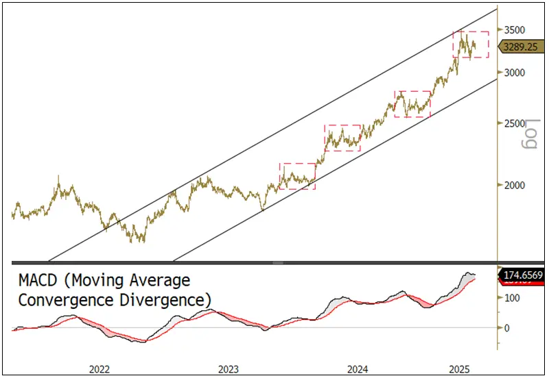 Gold gains ground as faith in the dollar erodes teaser image