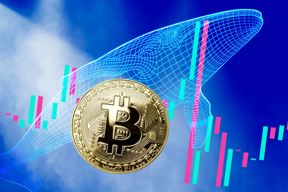 Bitcoin whales accumulate as price coils near $70k – pre-halving breakout or breakdown? teaser image