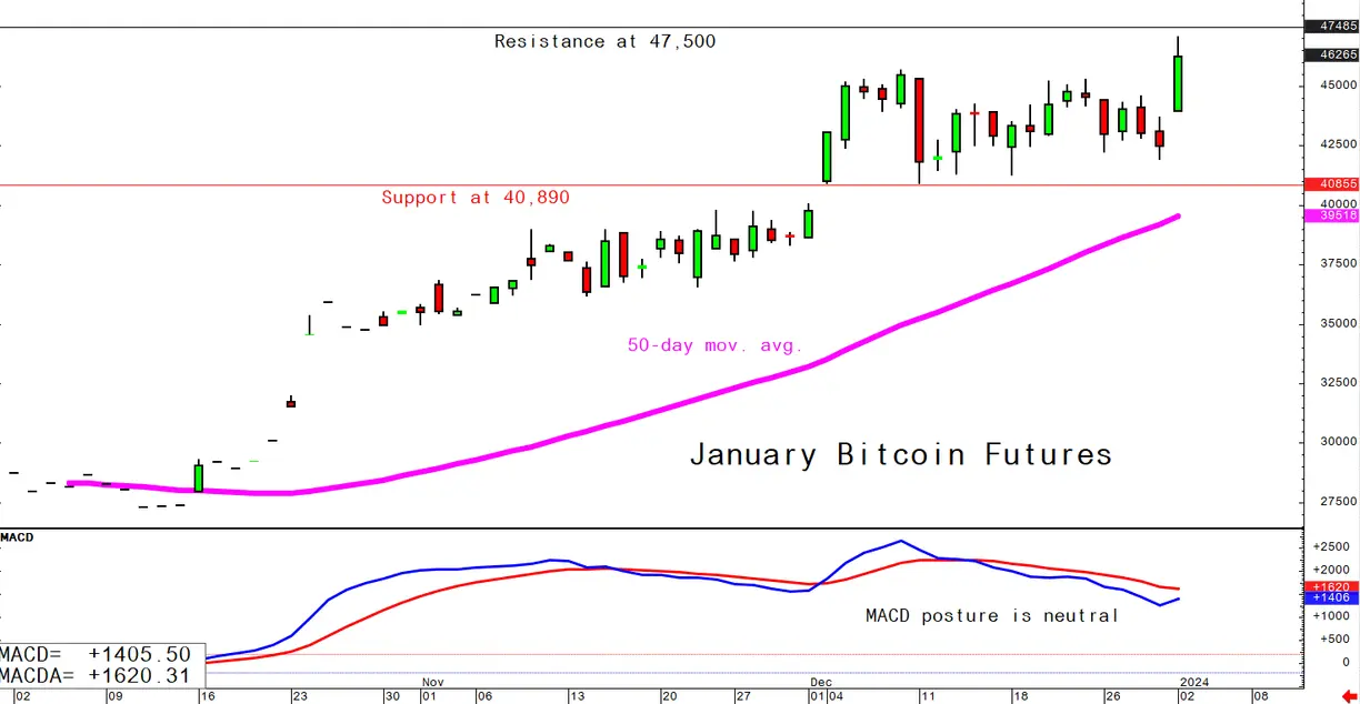 Bitcoin January 2 daily chart alert - Bulls gain more power teaser image
