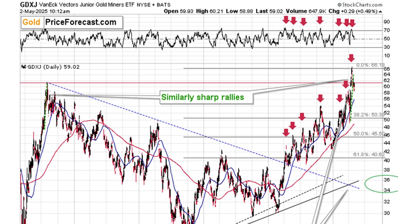 Gold, miners, commodity investors: watch out for those reversals! teaser image