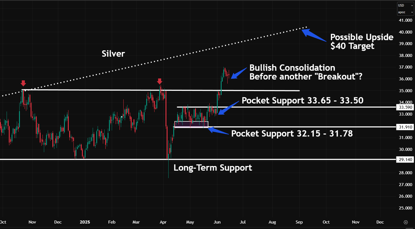 Gold/silver: The domino effect teaser image
