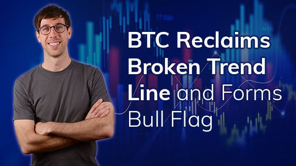 BTC Reclaims Broken Trend Line and Forms Bull Flag Structure teaser image