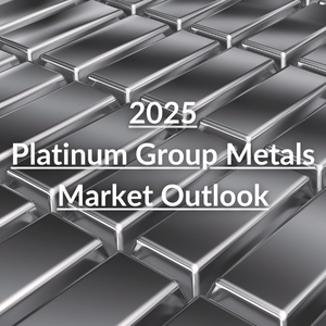 2025 Platinum Group Metals Outlook Online Seminar teaser image