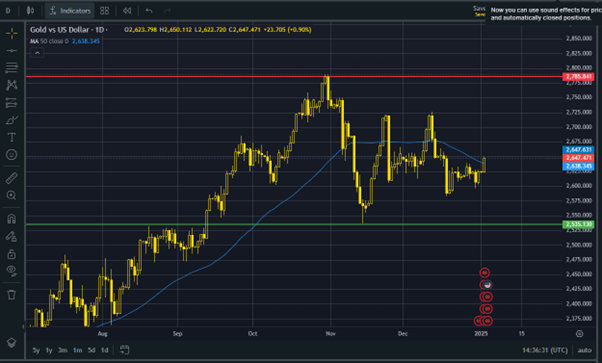 Gold prices begin 2025 with positive momentum, what is next? teaser image