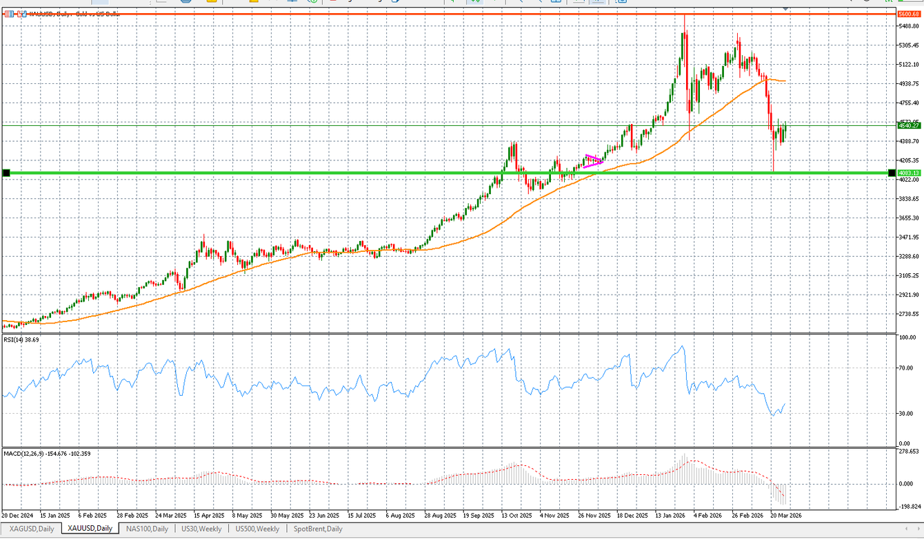 Gold stabilises as inflation shock and geopolitical risk begin to realign teaser image