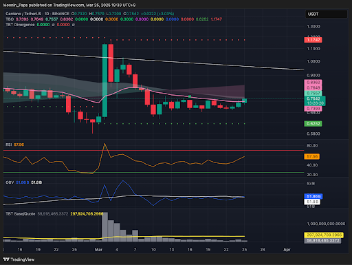 Bitcoin holds inside TBO cloud as market momentum builds teaser image