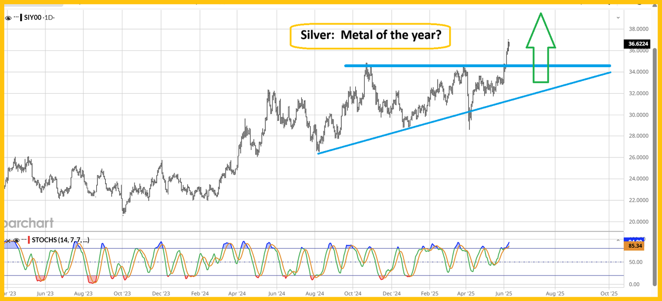 White metals: The awakening is here teaser image