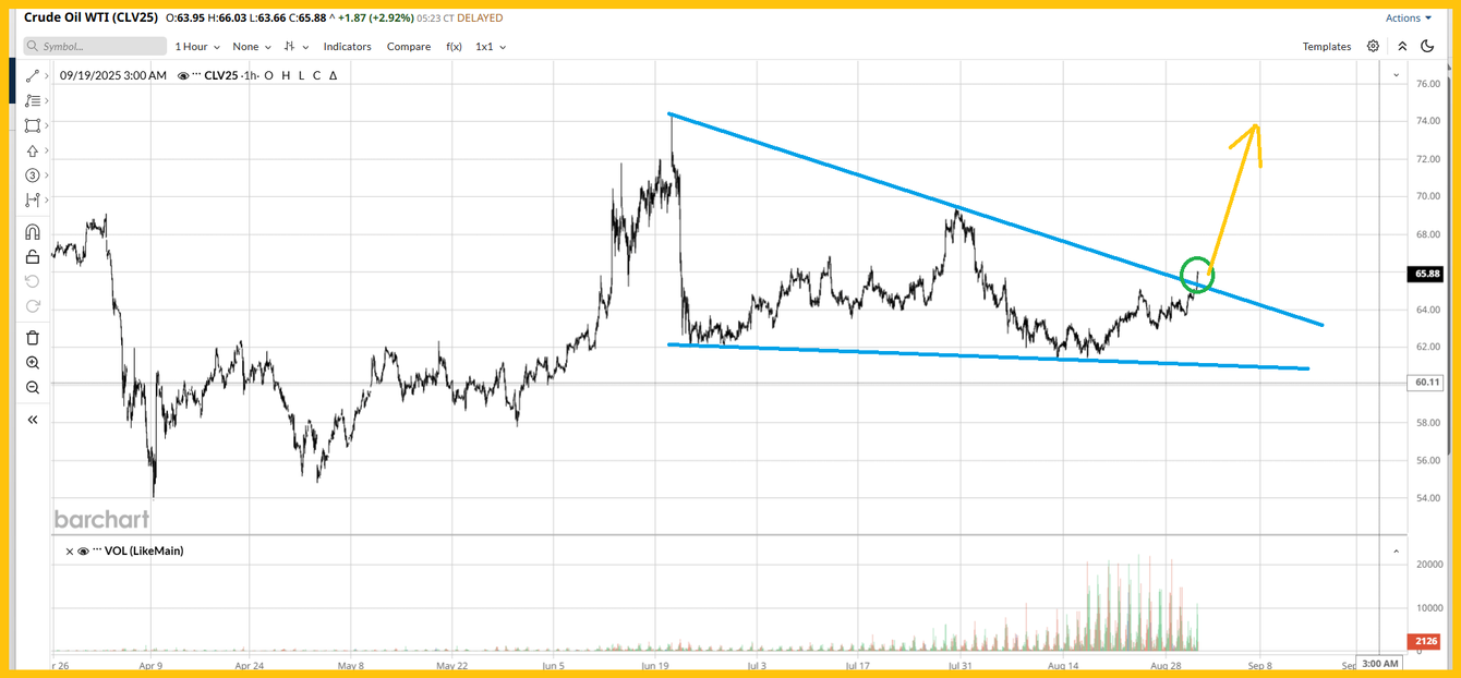 Supreme money gold: A time for celebration teaser image